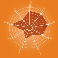 Illy Iperespresso Capsules Monoarabica Ethiopië -Koffiedrank Winkel ethiopia eng 1